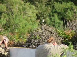 Photographed at Claire Mare [CLA]. on 27/9/2021. Photo: &copy; Tony Bisson