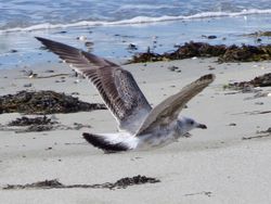 Photographed at L'Eree [LER]. on 29/9/2021. Photo: &copy; Wayne Turner