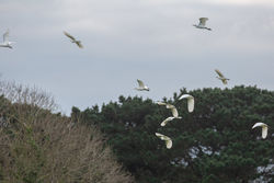 Photographed at Rue des Bergers [BER]. on 15/11/2021. Photo: &copy; Rod Ferbrache