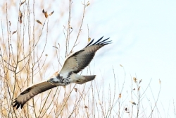 Photographed at Rue des Bergers [BER]. on 18/12/2021. Photo: &copy; Guy O’Regan