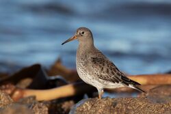 Photographed at Jaonneuse [JAO]. on 14/1/2022. Photo: &copy; Rod Ferbrache