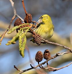 Photographed at Foulon [FOU]. on 12/2/2022. Photo: &copy; Adrian Bott