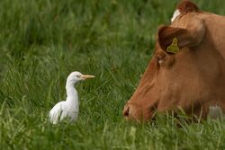 Photographed at Rue des Bergers [BER]. on 28/4/2022. Photo: &copy; Rod Ferbrache