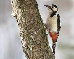 Photographed at St Peter Port [SPP]. on 9/5/2022. Photo: &copy; Mike Cunningham