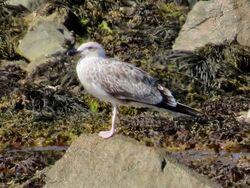 Photographed at Select location. on 26/8/2022. Photo: &copy; Wayne Turner