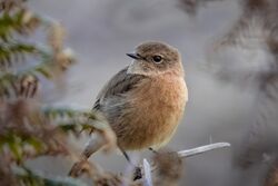 Photographed at Pembroke [PEM]. on 29/9/2022. Photo: &copy; Rod Ferbrache