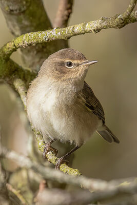 Photographed at Rue des Bergers [BER]. on 1/10/2022. Photo: &copy; Rod Ferbrache