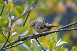 Photographed at Reservoir . on 12/10/2022. Photo: &copy; Kim Wilkinson