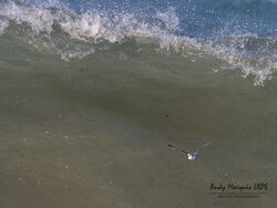 Photographed at Jaonneuse [JAO]. on 29/12/2022. Photo: &copy; Andy Marquis