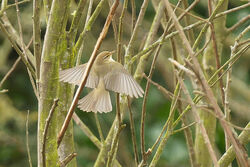 Photographed at Rue des Bergers [BER]. on 1/4/2023. Photo: &copy; Christopher Wilkinson