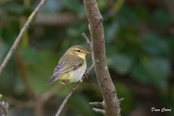 Photographed at Delancey Park [DEP]. on 12/4/2023. Photo: &copy; Dave Carre