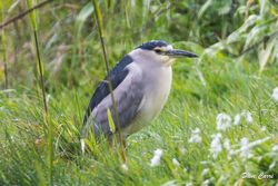 Photographed at Rousse [ROU]. on 13/4/2023. Photo: &copy; Dave Carre
