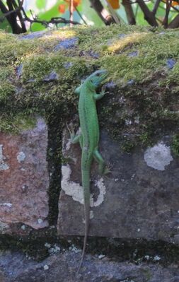 Photographed at Fort George [FOG]. on 6/6/2023. Photo: &copy; Mark Guppy