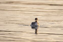 Photographed at Cobo [COB]. on 19/10/2023. Photo: &copy; Dave Carre