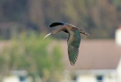 Photographed at Barras Lane [BAR]. on 10/11/2023. Photo: &copy; Christopher Wilkinson
