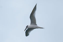 Photographed at Jaonneuse [JAO]. on 18/12/2023. Photo: &copy; Christopher Wilkinson