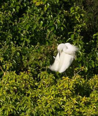 Photographed at Gallotin Quarry. on 28/8/2025. Photo: &copy; Julie Davis