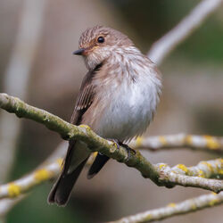 Photographed at Select location. on 22/9/2025. Photo: &copy; Rod Ferbrache