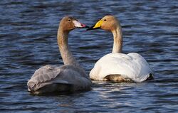 Photographed at Rue des Bergers. on 27/10/2025. Photo: &copy;  Rockdweller